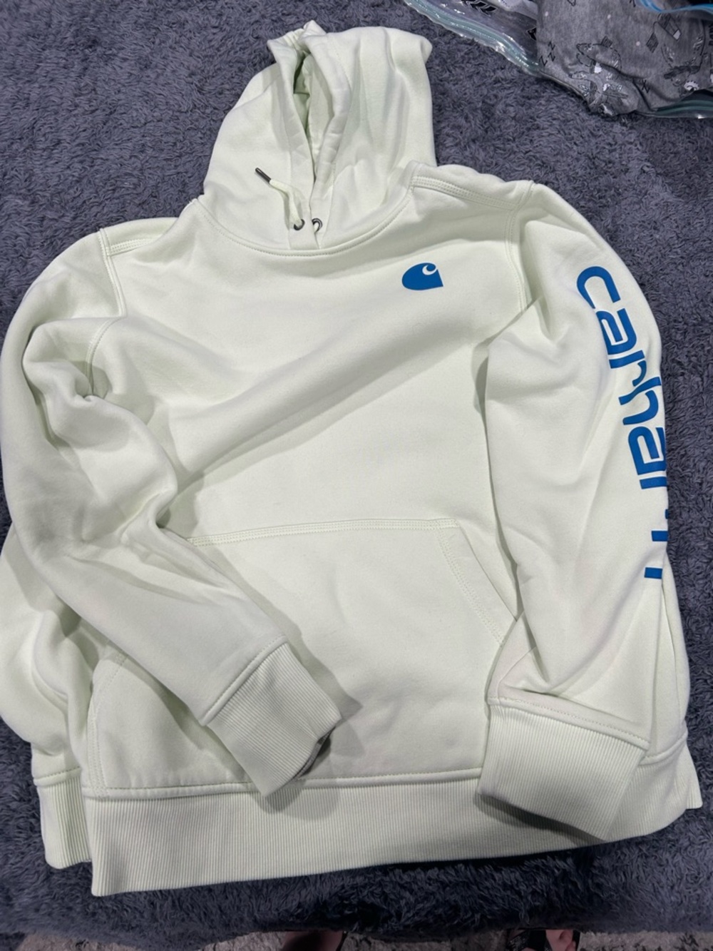 Mint green women’s Carhartt hoodie